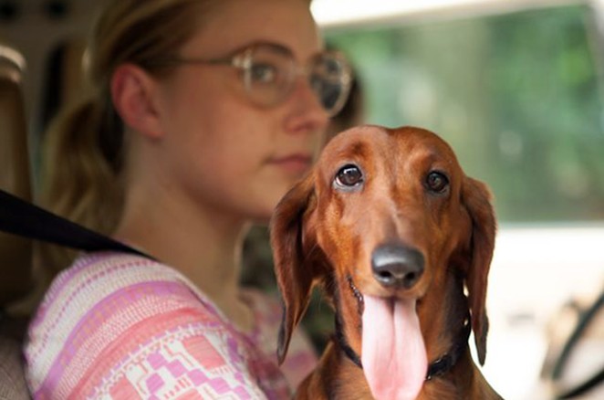 Greta Gerwig stars as veterinarian assistant Dawn Wiener in Wiener-Dog. - Amazon Studios