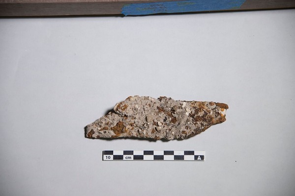 Alamo Archeologists Find More than 1,700 Artifacts in 4 Weeks