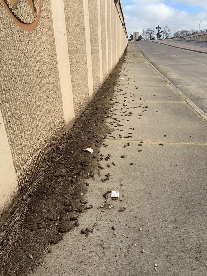 An image posted to Facebook by Texas Parks and Wildlife shows dead bats under a Texas bridge - . - Facebook / Wildlife Diversity Program - Texas Parks and Wildlife
