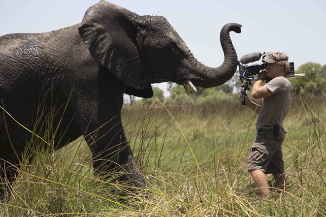 Filmmaker Bob Poole will give a behind-the-scenes look at his career in wildlife cinematography. - GINA POOLE