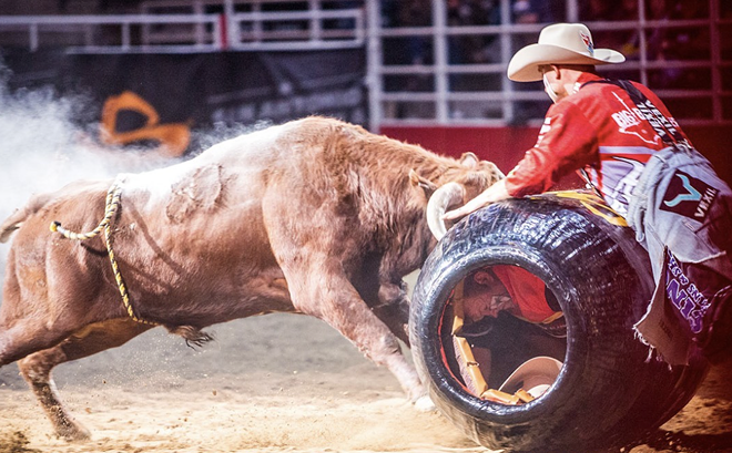 The San Antonio Stock Show and Rodeo opens today and will run for two weeks at the AT&T Center before wrapping up of Feb. 26. - INSTAGRAM / SANANTONIORODEO