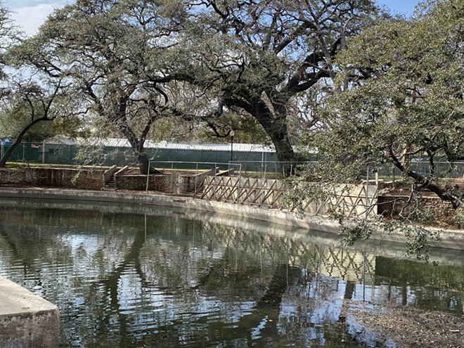 The city's plan, as it stands, is to remove trees leaning into the Lambert Beach river walls in Brackenridge Park. - Sanford Nowlin