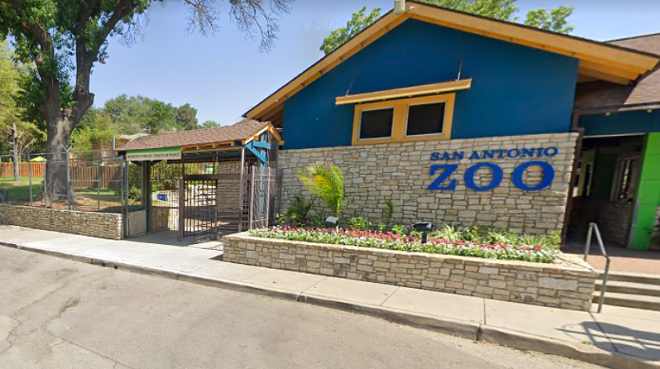 San Antonio Zoo official described the incident as an "unfortunate accident." - Google Maps
