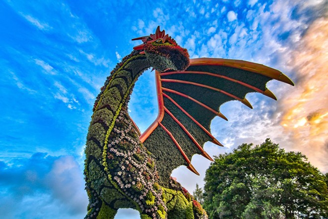 An almost 25-foot-tall dragon can be found in the Lucile Halsell Conservatory, along with a mermaid in the Hill Country area and a peacock in the Rose Garden. - Courtesy Photo / San Antonio Botanical Garden
