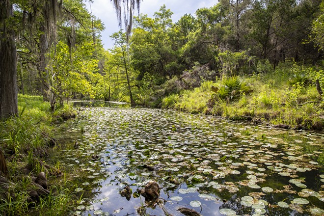 The acquisition of land adds to the conservation efforts in the region by protecting 515 acres of land in the Honey Creek State Natural Area and watershed. - Courtesy / Texas Parks and Wildlife