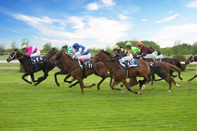 Horse racing is the most commemorated sport when it comes to street names, followed by football and baseball, the study said. - Shutterstock / Lukas Gojda