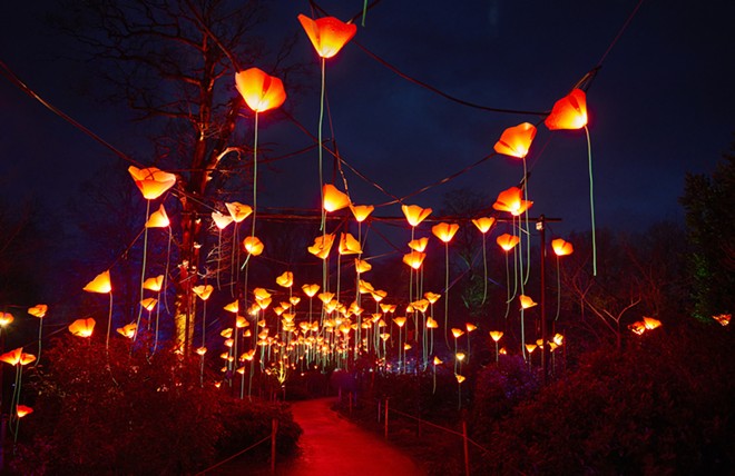 Lightscape features a mile-long stretch of holiday lights and sounds. - Courtesy Photo / San Antonio Botanical Garden