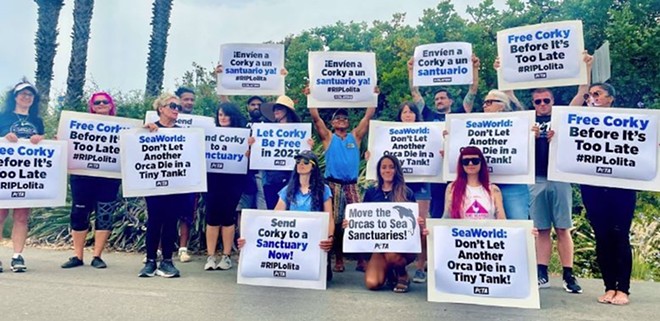 A group of PETA supporters rally against SeaWorld's alleged mistreatment of aquatic mammals. - Courtesy of PETA