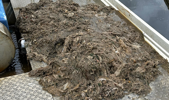 Sorry to spoil your breakfast/lunch/dinner, but this is what flushed wipes look like. - Facebook / San Antonio River Authority