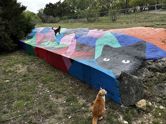 Two cats play at atop a mural at the Bear Den Sanctuary in Bulverde. - Michael Karlis