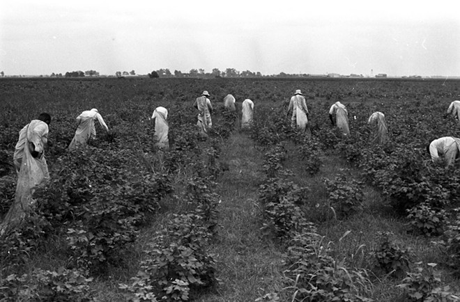 Folklorist and photographer Bruce Jackson got rare access to Texas prison fields in the 1960s, providing some of the most intimate views into farming practices to date. - Bruce Jackson