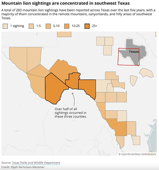Texas takes its first steps to protect its mountain lions