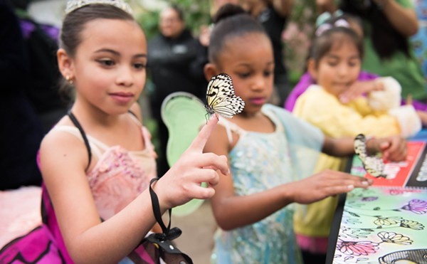 The festival's Monarch Practice Tagging workshop will show guests how to properly hold butterflies and explain how they're tagged with identification stickers to track their migration.