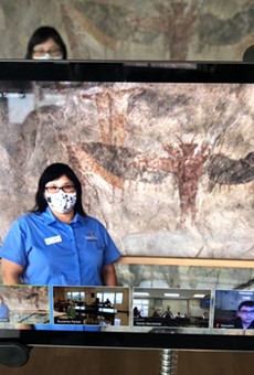 San Antonio's Witte Museum now offering live distance learning programs