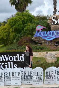 New Halloween Attraction at SeaWorld: An Orca Graveyard