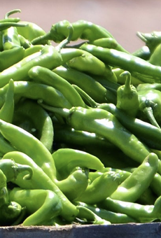 Central Market’s 26th annual Hatch Chile Fest is slated to start this week.