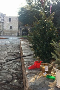 San Antonians Protest Alamo Christmas Tree Relocation with Mini-Tree Display