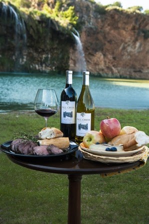If your dad loves wine and waterfalls... - FALL CREEK VINEYARDS