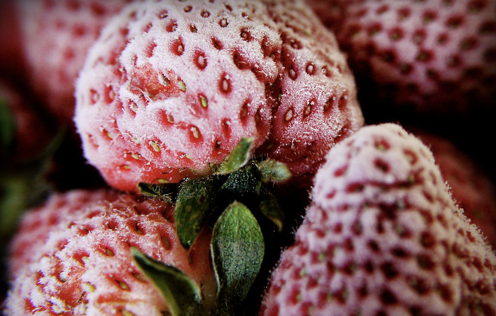 Frozen strawberries recalled by HEB, Walmart and Costco for possible