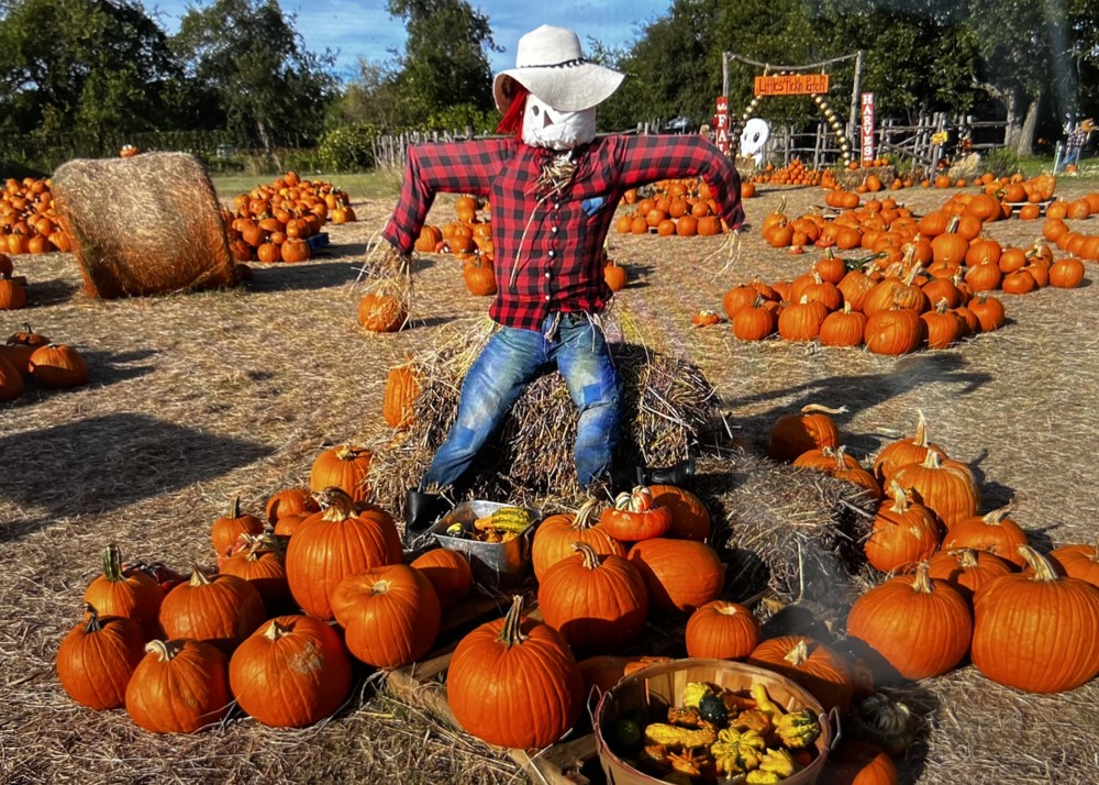 Dripping Springs Pumpkin Festival plans third — and possibly final