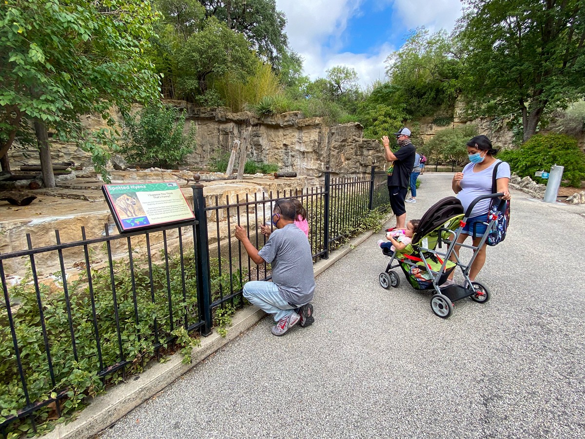 San Antonio Zoo honors Betty White with free admission for seniors