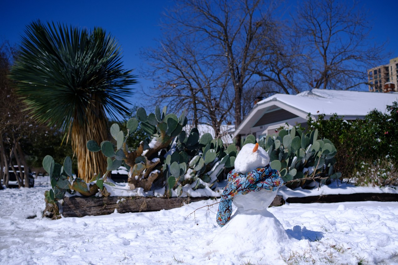 21 magical pictures of the snow day San Antonio got from its winter