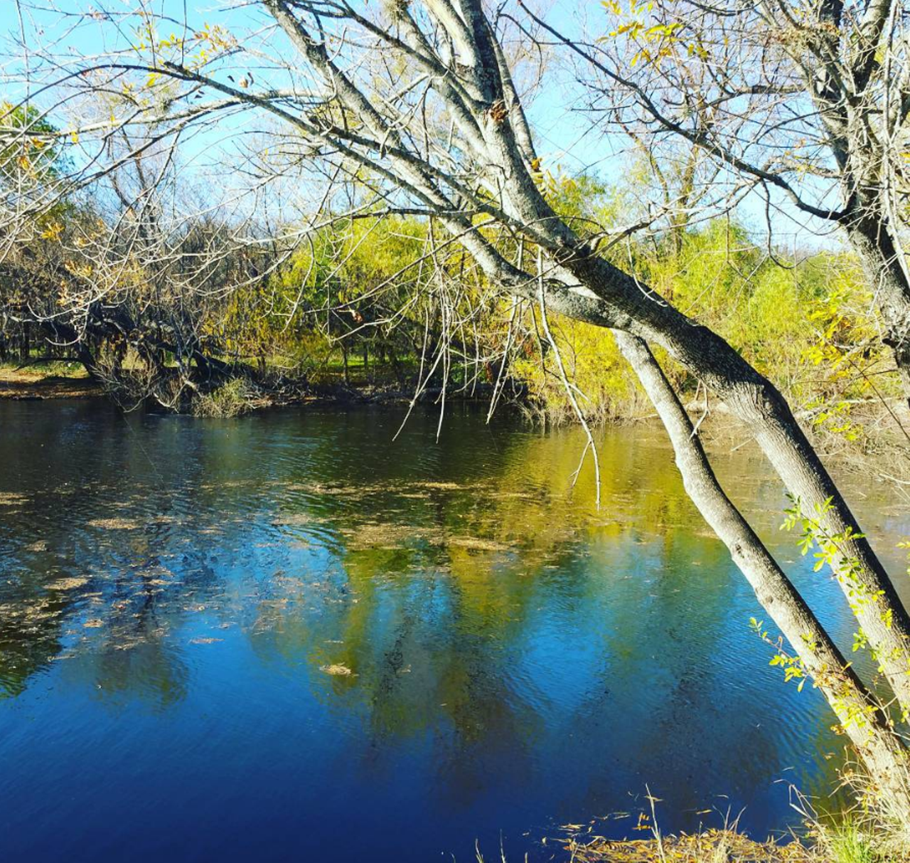 Earl Scott Pond
12160 Babcock Rd, (210) 207-7275
Located in the Greenway a short walk from Rohde Park at the Buddy Calk Trailhead, this rugged spot is the ultimate man v. nature spot with no amenities but lots of catfish, perch and bass.
Instagram/@jessiermitchell