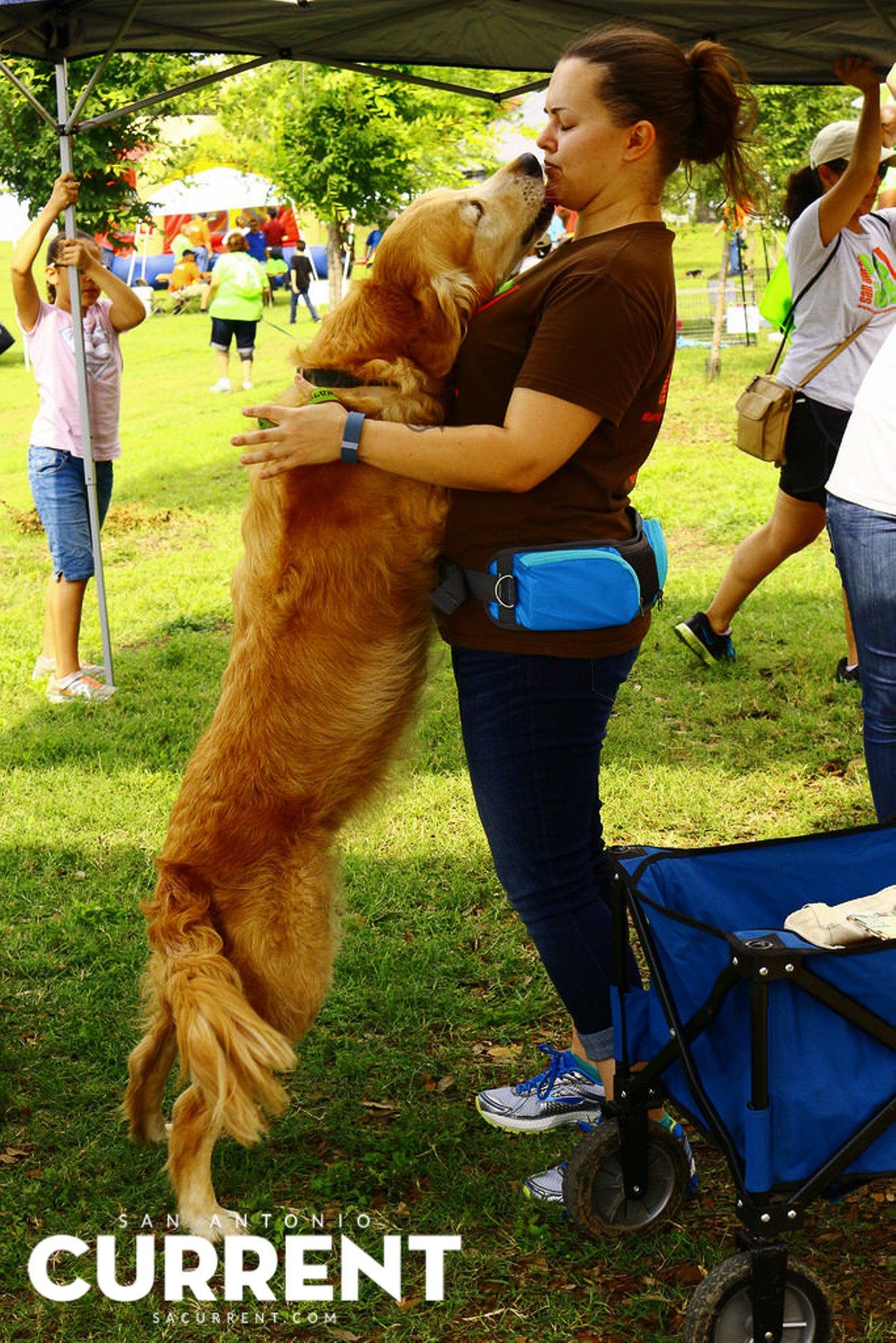 50 Photos Of Bark In The Park, San Antonio