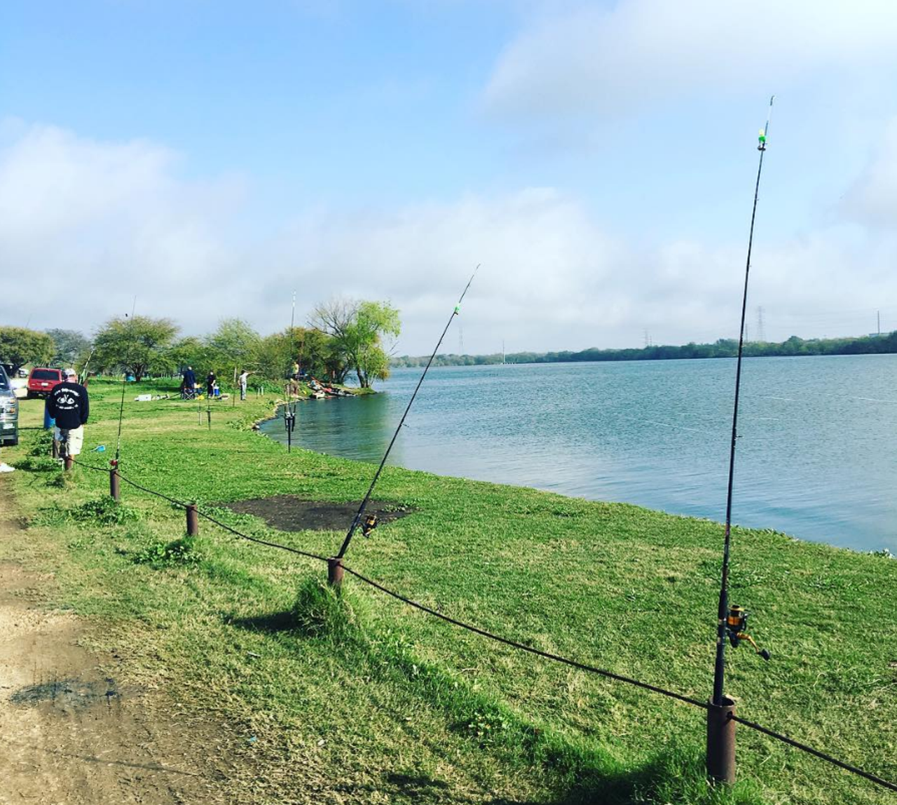 Braunig Lake
17500 Donop Rd, (210) 635-8289
Two paved boat ramps are available at this power plant reservoir which is stocked full with Largemouth Bass and Red Drum.
Instagram/@bcelestino_93