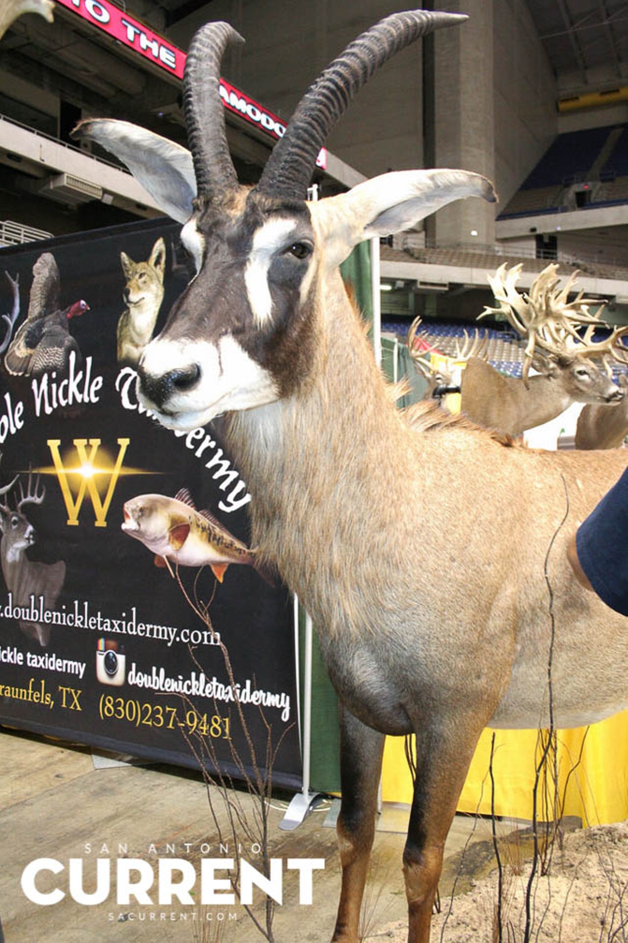 21 Photos from the Texas Trophy Hunters Extravaganza San Antonio