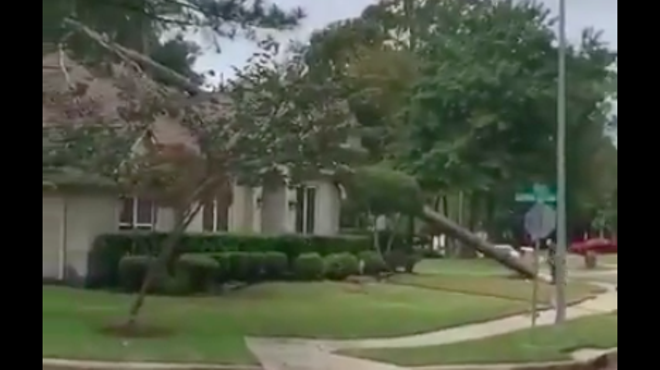 Watch Texas lawn guy cuss up a storm as the tree he chops down smashes into his client's house