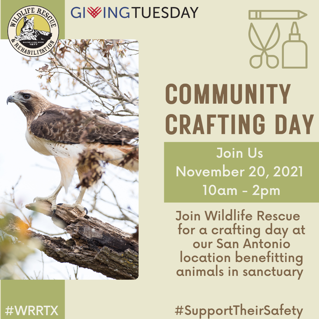 WRR Giving Tuesday Community Craft Day