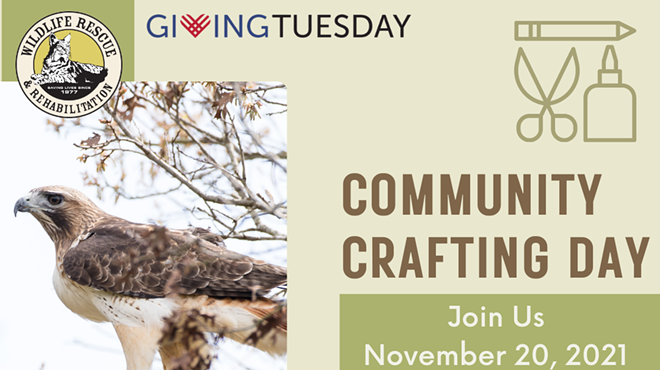 Wildlife Rescue Community Crafting Day for Giving Tuesday